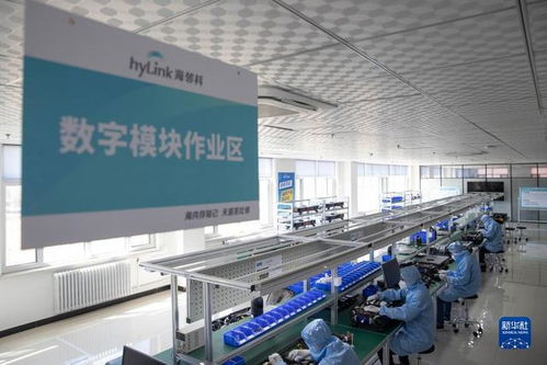 中国最北自贸区 数字经济转型中的软件技术开发新引擎